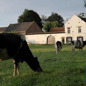 La Vache Contente